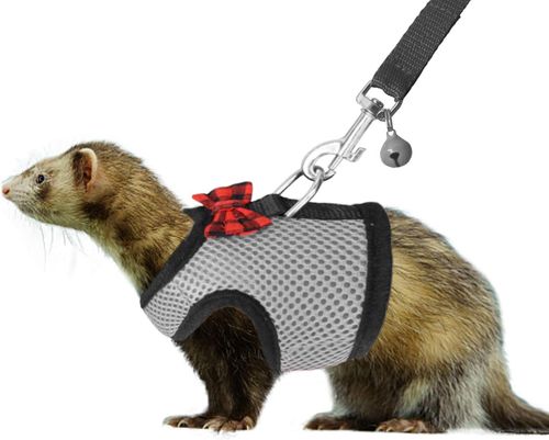 Inventory Checkup image thumbnail Inventory Checkup image thumbnail