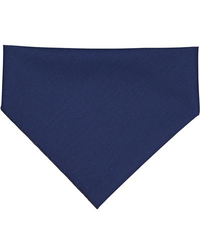 Doggie Bandana image thumbnail