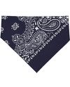 NAVY PAISLEY