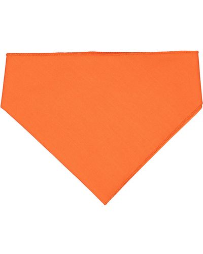 Doggie Bandana image thumbnail
