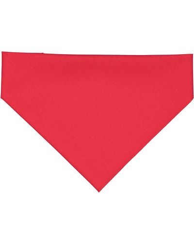 Doggie Bandana image thumbnail