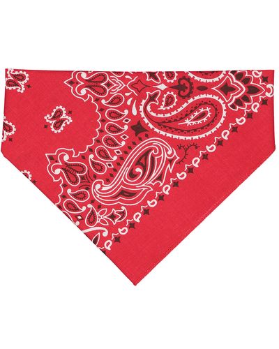 Doggie Bandana image thumbnail