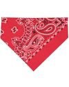 RED PAISLEY