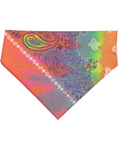 Doggie Bandana image thumbnail