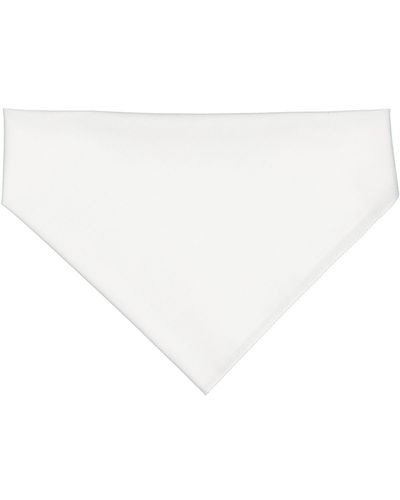 Doggie Bandana image thumbnail